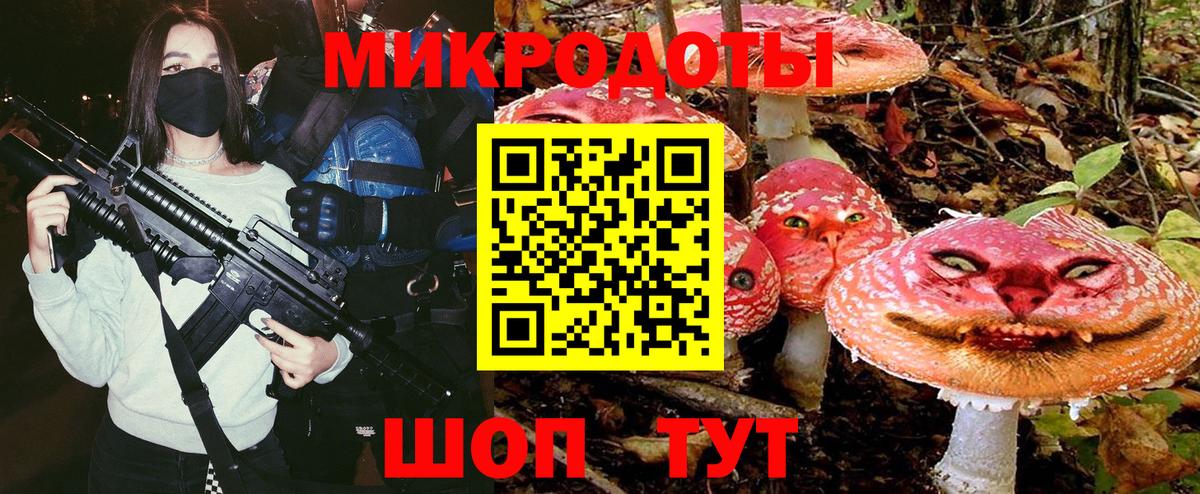 Галлюциногенные грибы Psilocybe  Вход с VPN  Ступино 